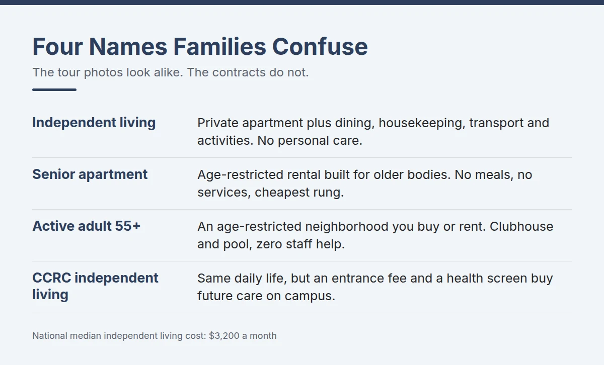 Summary card: Four Names Families Confuse